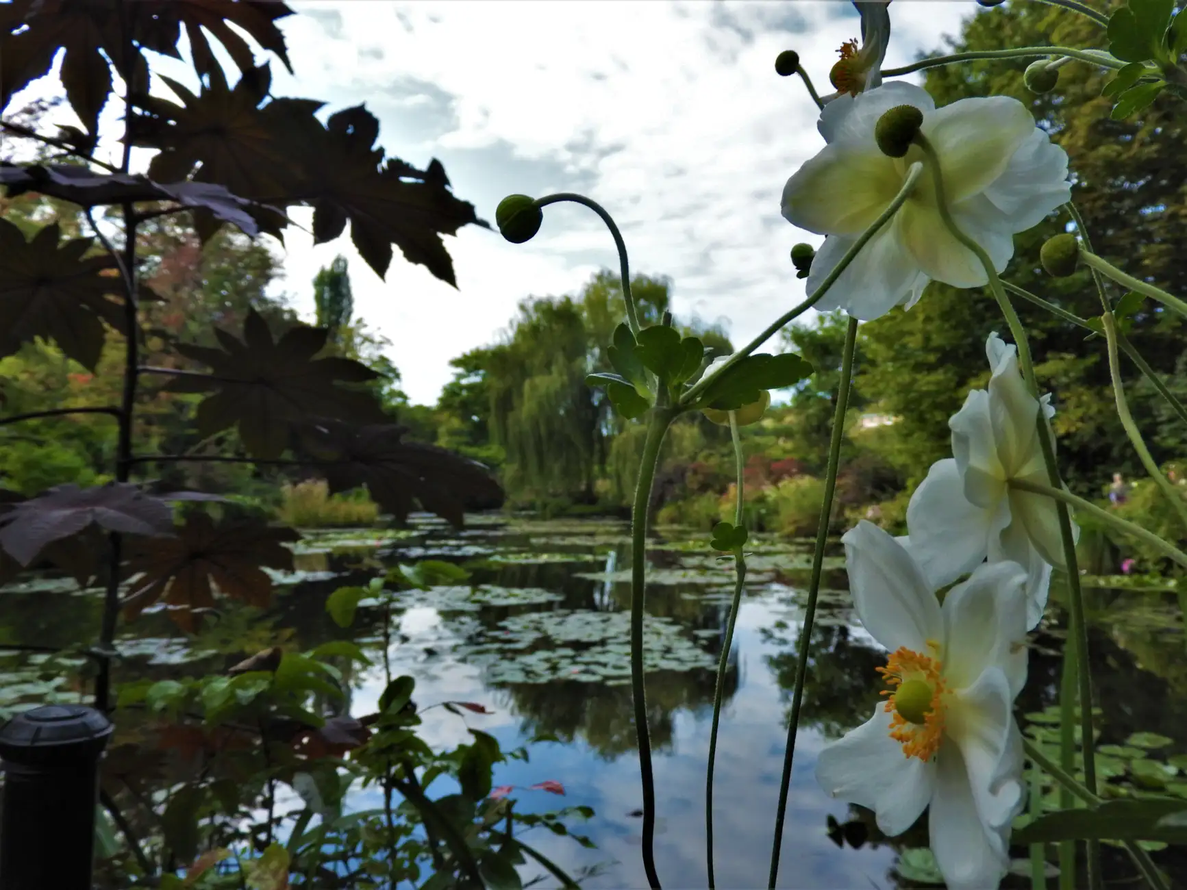 Visite à pied du village de Giverny et coupe-file pour le jardin de Monet