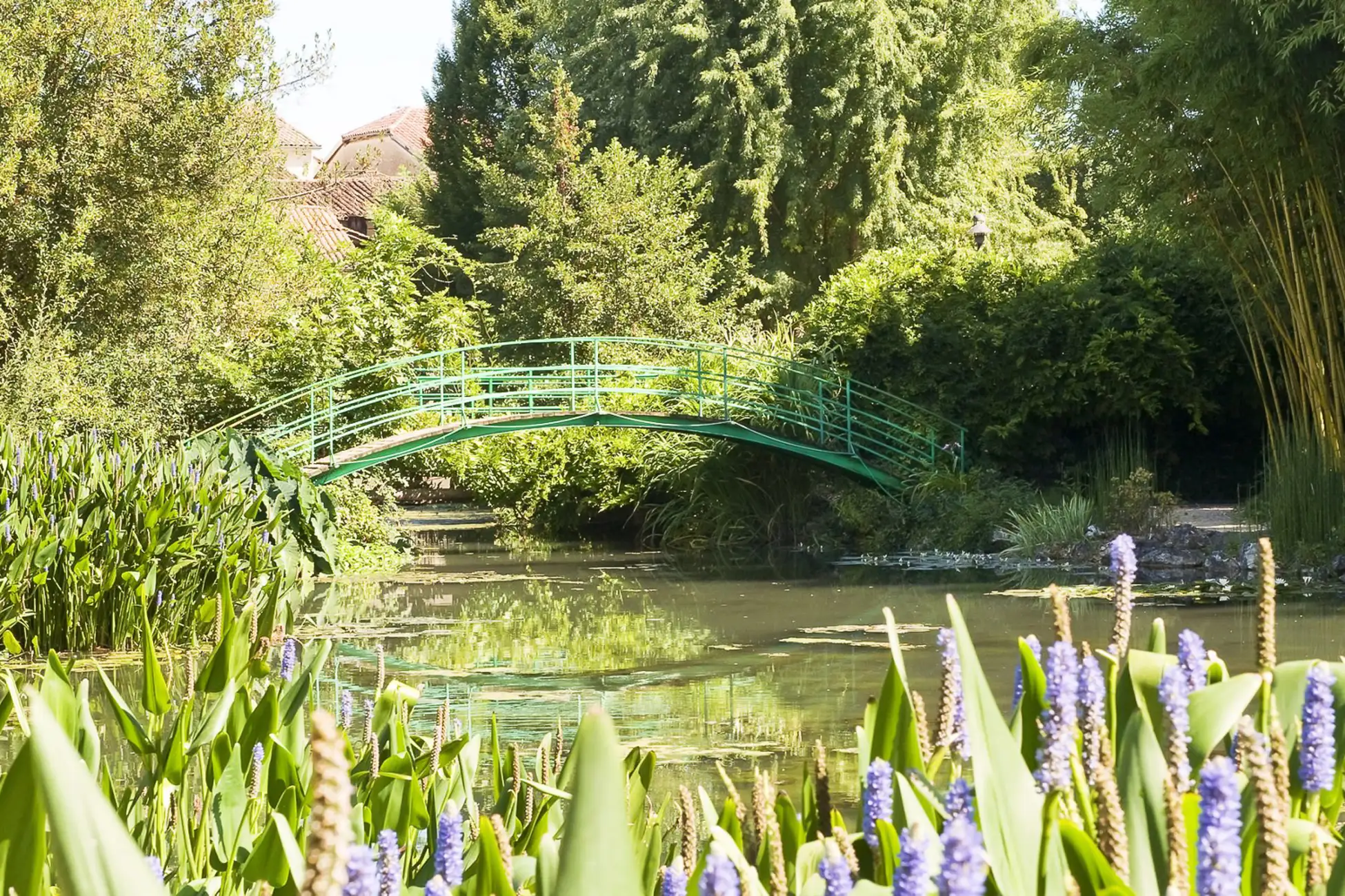 Depuis Paris : Excursion guidée d'une journée au jardin de Monet à Giverny